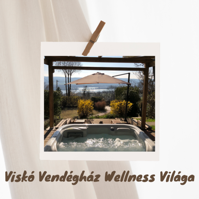 wellness vilag