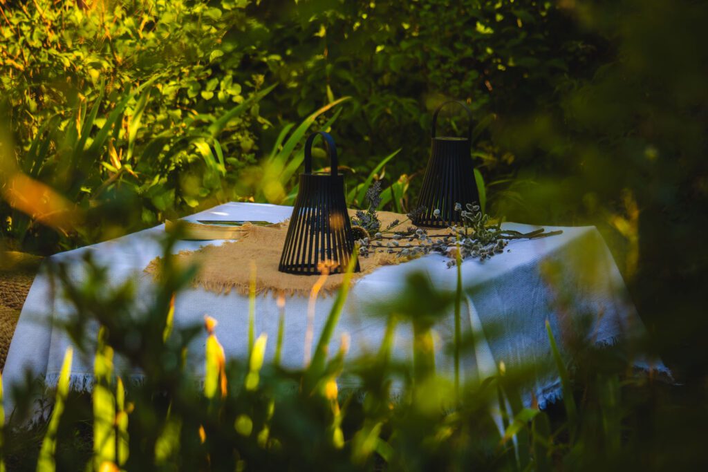 20250728_ViskoVendeghaz-27