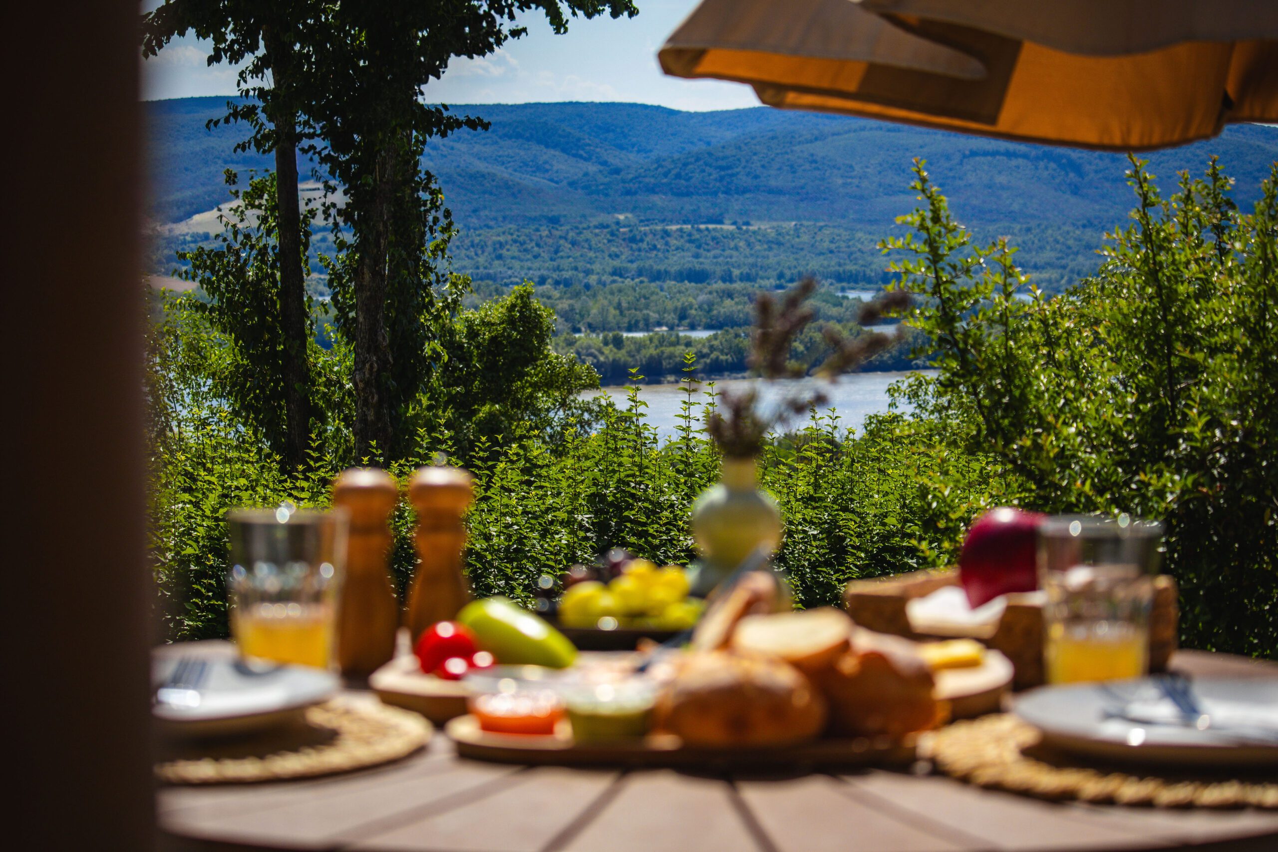 20250728_ViskoVendeghaz-47 (1)